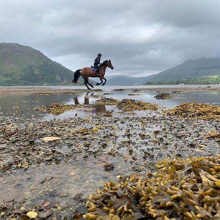 Ceo Mara Croft B&B & 2 Luxury Cabins Taynuilt Bagian luar foto