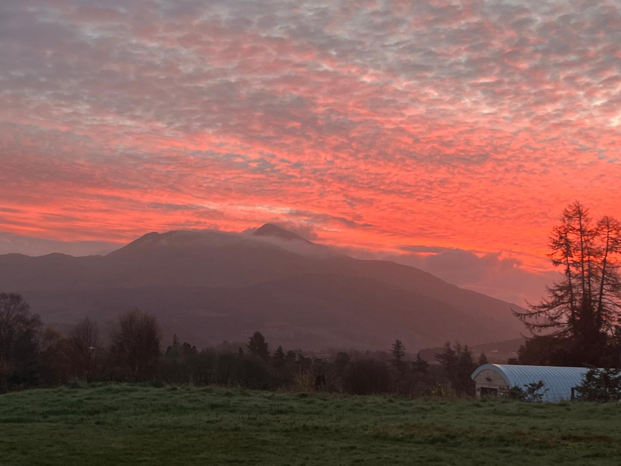 Ceo Mara Croft B&B & 2 Luxury Cabins Taynuilt Bagian luar foto