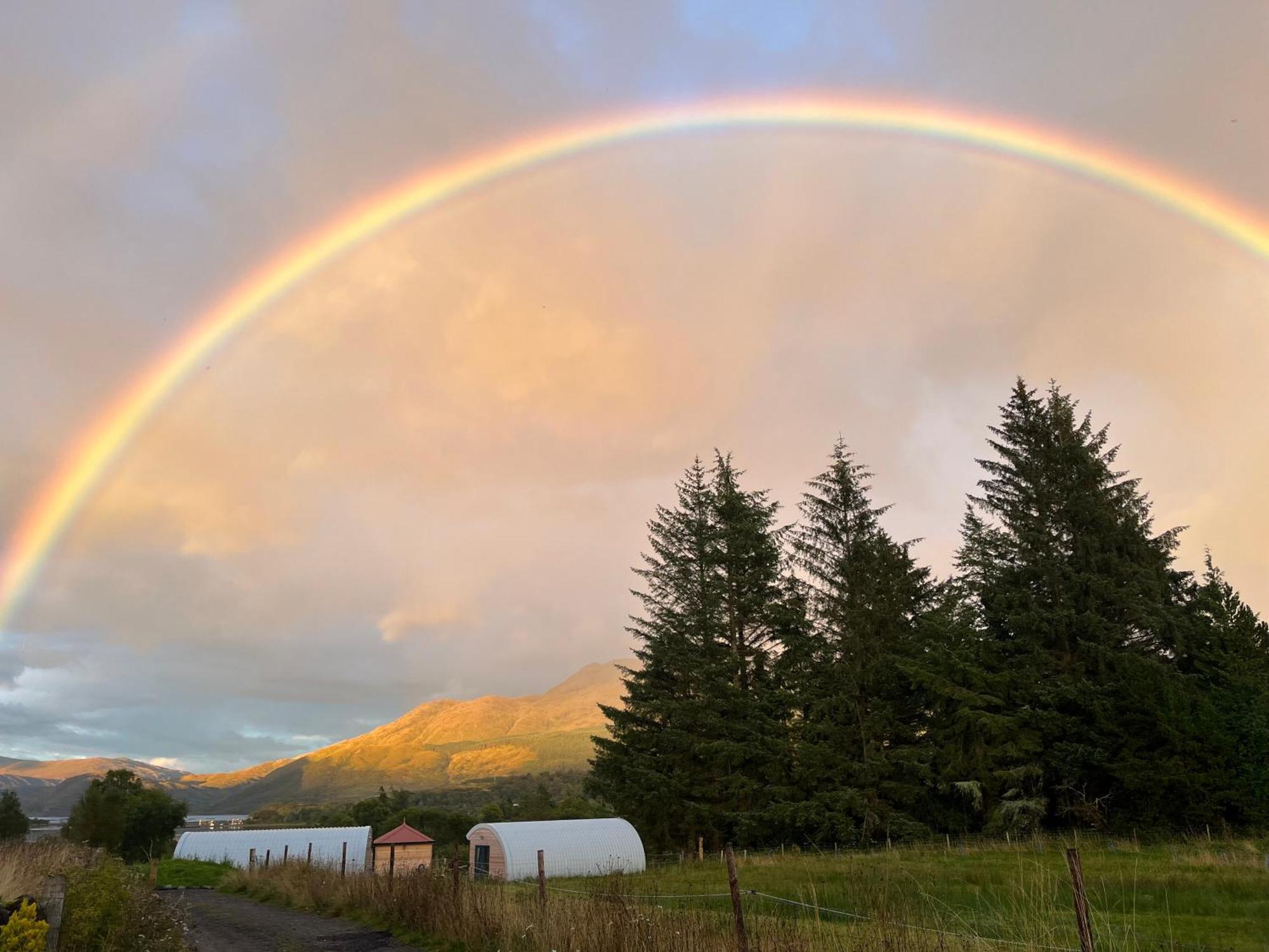 Ceo Mara Croft B&B & 2 Luxury Cabins Taynuilt Bagian luar foto