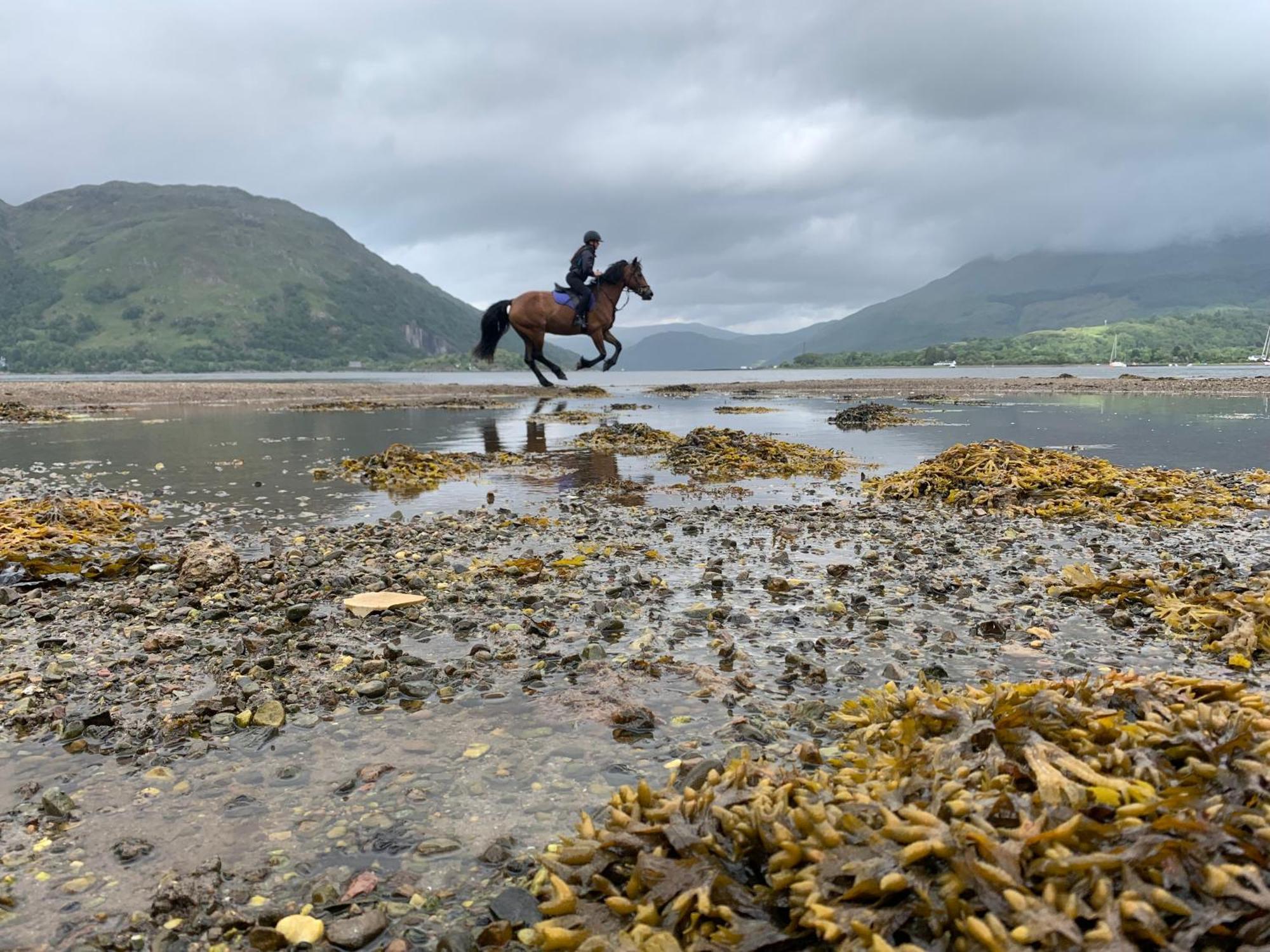 Ceo Mara Croft B&B & 2 Luxury Cabins Taynuilt Bagian luar foto