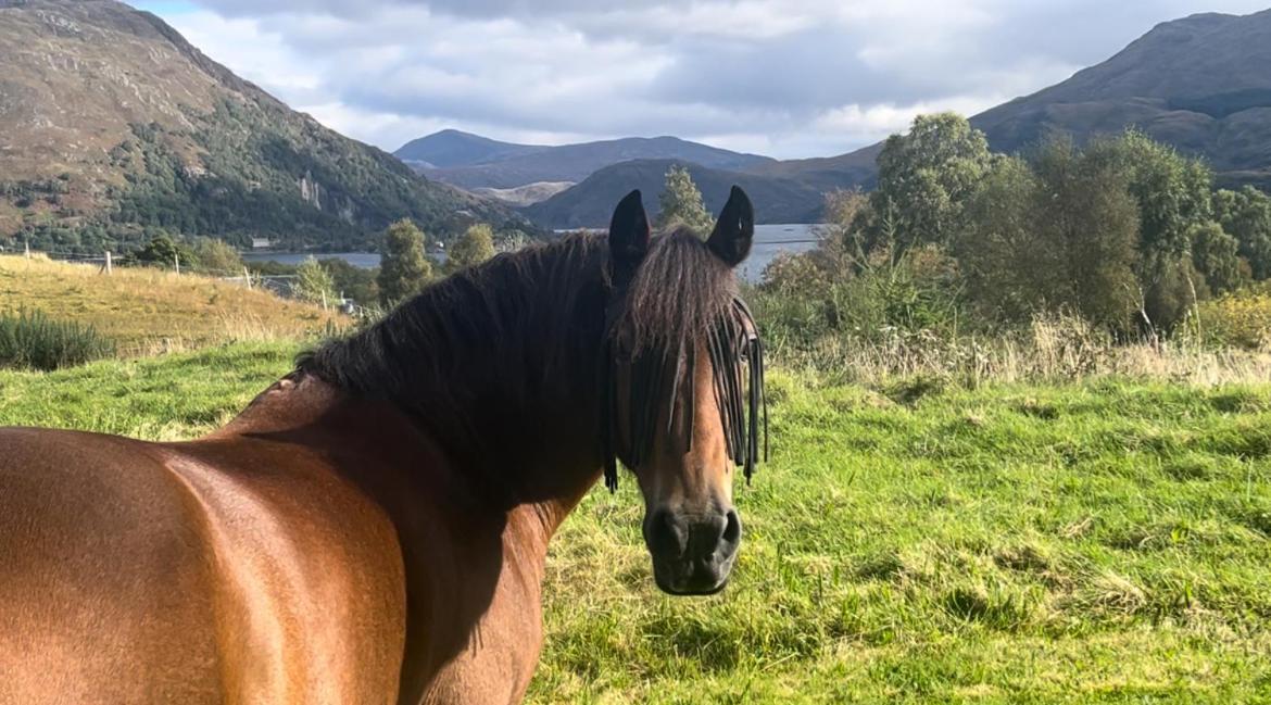 Ceo Mara Croft B&B & 2 Luxury Cabins Taynuilt Bagian luar foto